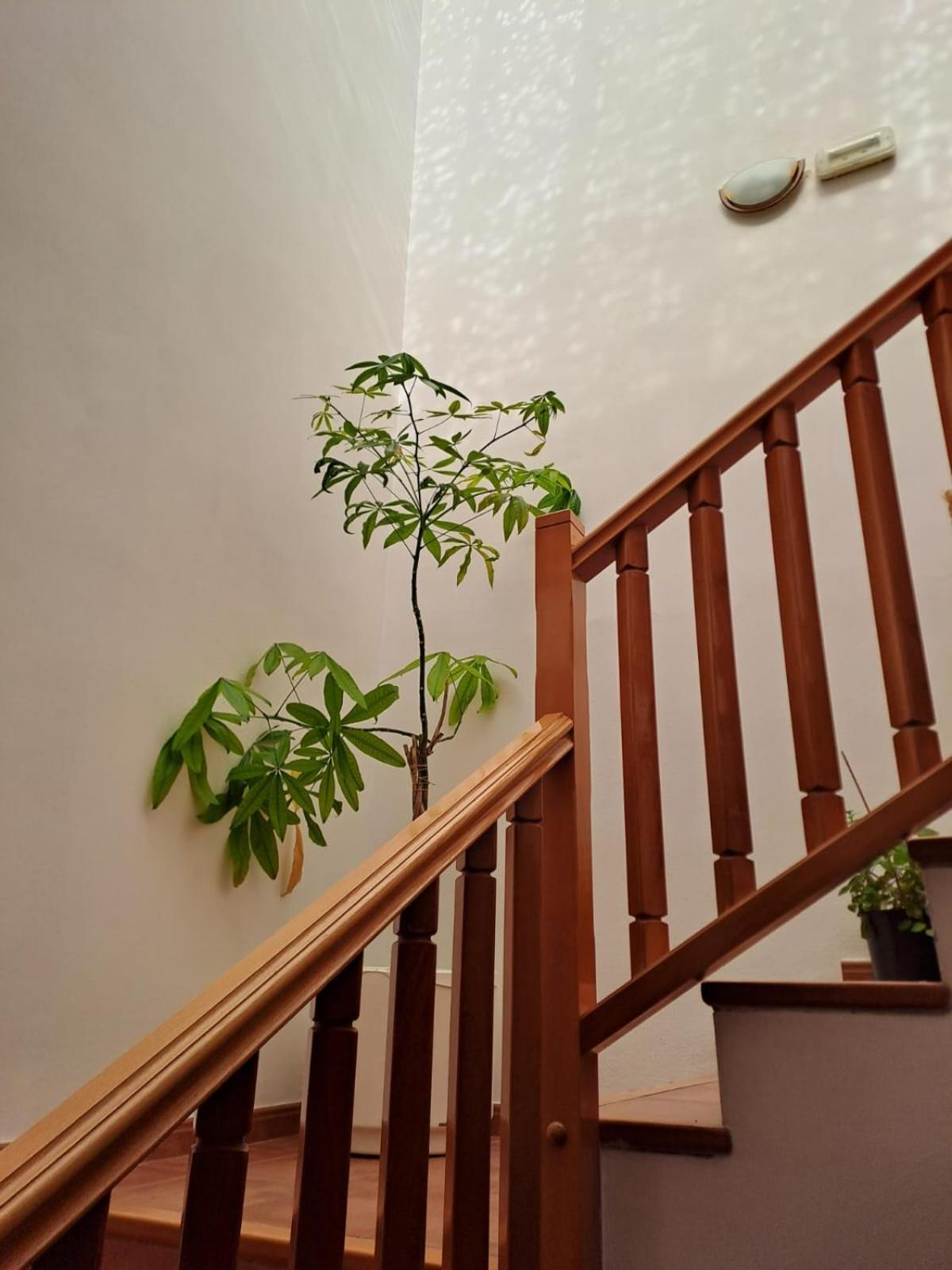 Delicias Hotel Peraltilla ภายนอก รูปภาพ